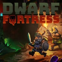 Dwarf Fortress Game Box