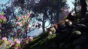 theHunter: Call of the Wild - zwiastun z datą premiery DLC Sundarpatan Nepal Hunting Reserve