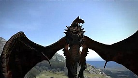 Dragon's Dogma Drake Battle