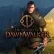 game The Blood of Dawnwalker