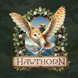 game Hawthorn