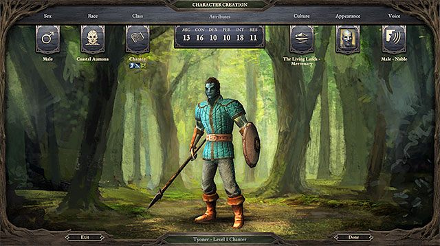 pillars of eternity character creation fighter 2016