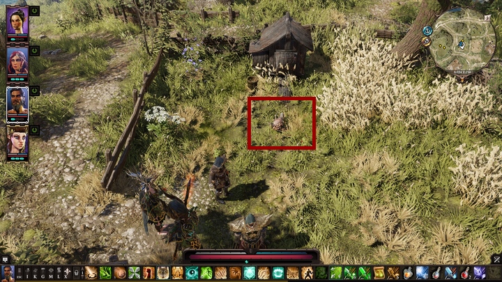 Divinity original 2 гайд