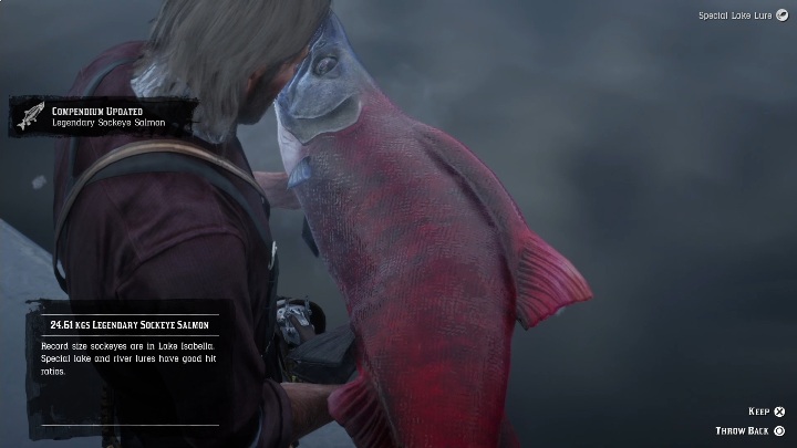 Легендарная рыба. Легендарный лосось rdr2. Rdr 2 Sockeye Salmon. Легендарный лосось РДР. Rdr 2 лосось.