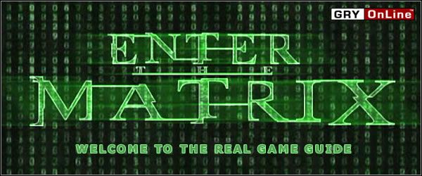 Enter the matrix обзор