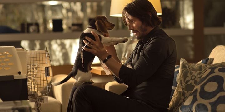 John Wick, Chad Stahelski, Lionsgate, 2014 - 10 lat temu zadebiutował John Wick. Ikoniczne widowisko akcji z Keanu Reevesem zmieniło reguły gry i na zawsze zapisało się w historii kina - wiadomość - 2024-10-02