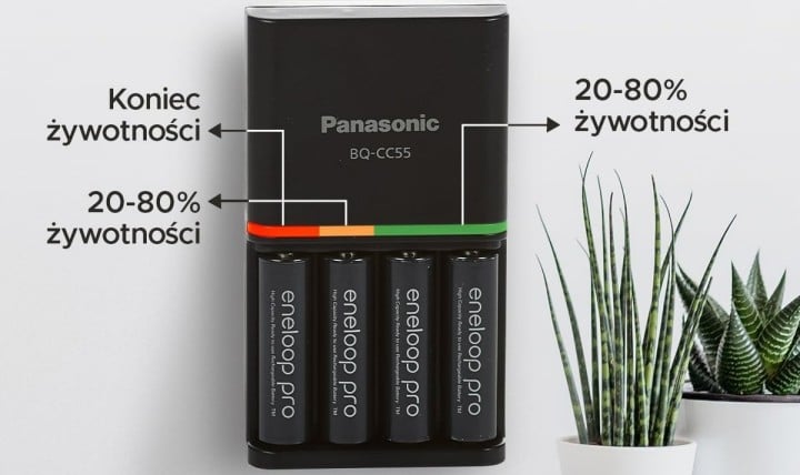 Źródło: Panasonic; materiały promocyjne - Użytkownicy Amazona nie mogą się jej nachwalić, a teraz jest w cudownej promocji. Kupując ładowarkę Panasonic eneloop SmartPlus, w pakiecie otrzymasz 4 akumulatorki AA o pojemności 2500 mAh każdy - wiadomość - 2024-09-20