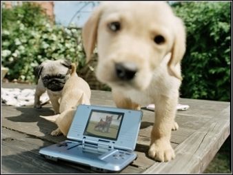 Nintendogs - fenomen kulturowy i motor napędowy sprzedaży Dual Screen w Europie - ilustracja #1