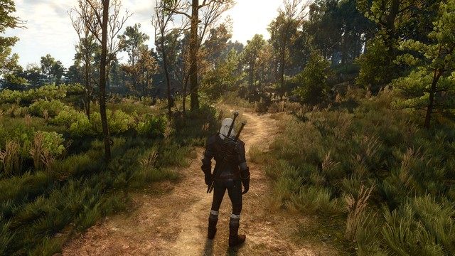 Wiedźmin 3: Dziki Gon mod Immersive HUD – iHUD  v.0.1