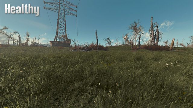 Fallout 4 mod Grasslands Healthy v.1.1