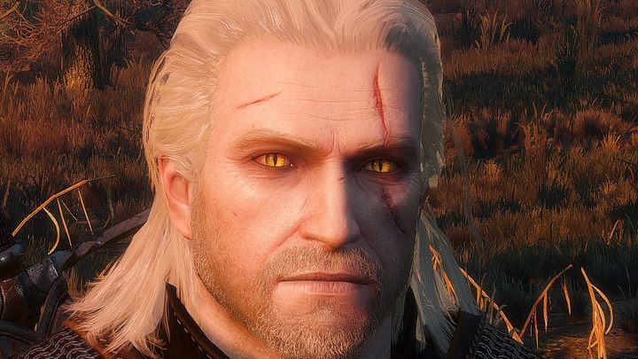 Wiedźmin 3: Dziki Gon mod Lore-friendly Witchers: Real Witcher Eyes v.0.6