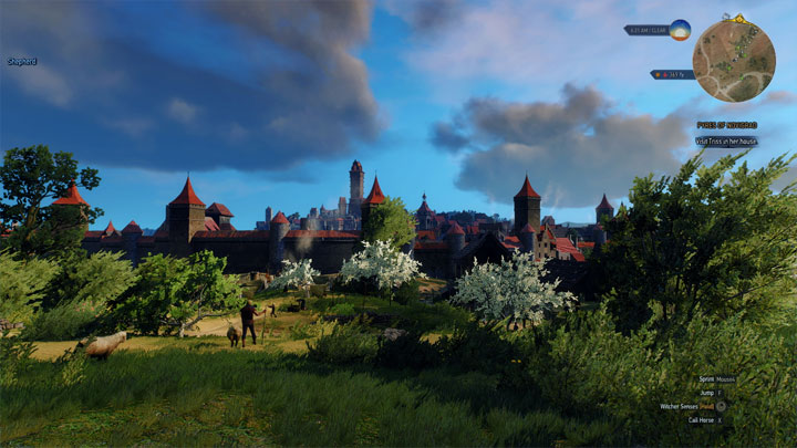 Wiedźmin 3: Dziki Gon mod The Witcher 3 Enhancement Project ReShade v.1.2