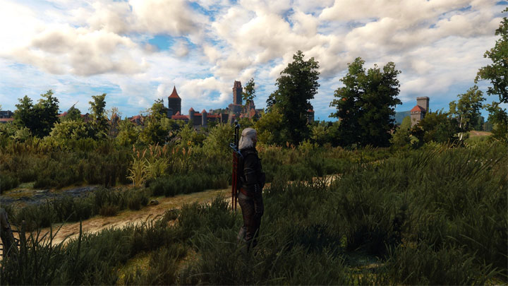 Wiedźmin 3: Dziki Gon mod Toussaint Grass in Velen and Novigrad v.1.01