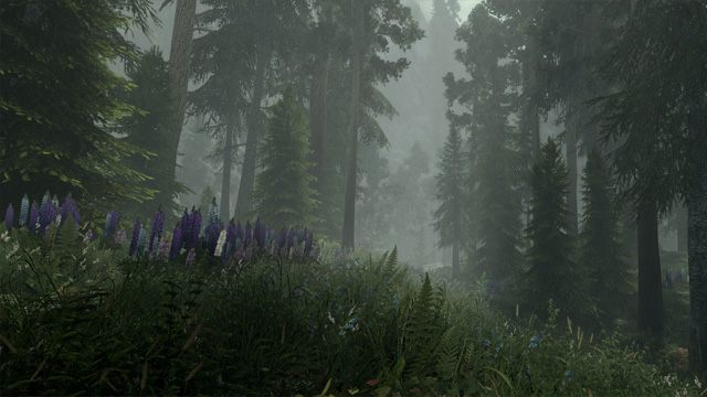 The Elder Scrolls V: Skyrim Special Edition mod Skyrim Flora Overhaul SE v.2.6a