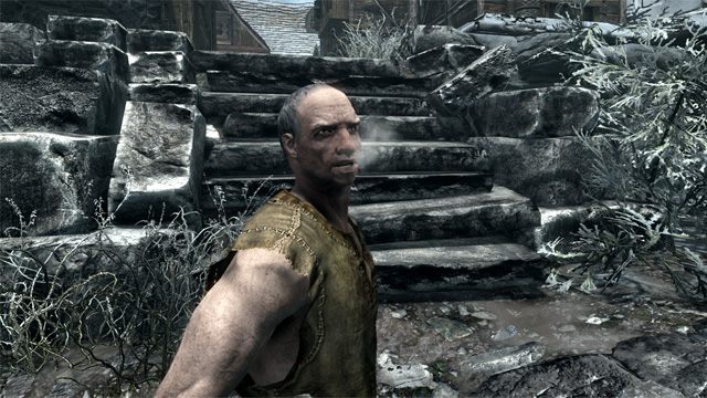 The Elder Scrolls V: Skyrim Special Edition mod Wet and Cold v.2.10