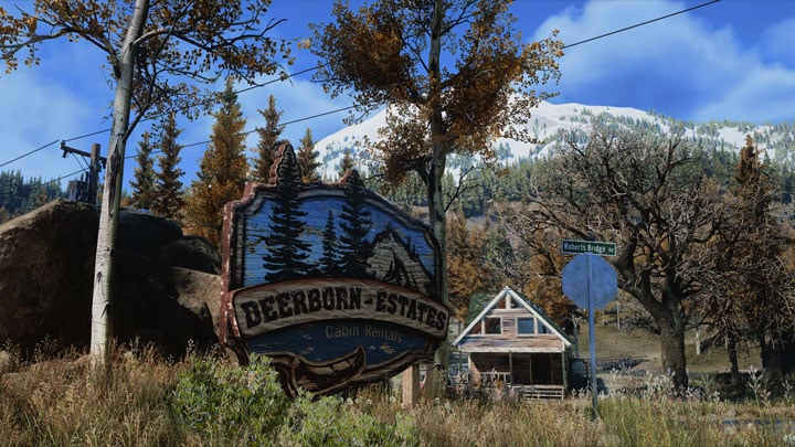 Days Gone mod Apex Reshade  v.1.0.2