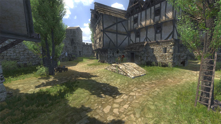 Mount & Blade: Warband mod Native Alternate Expansion v