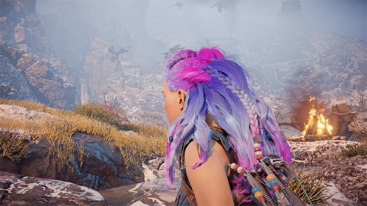 Horizon: Zero Dawn - Complete Edition mod Aloy - Hair Dye v.1.0