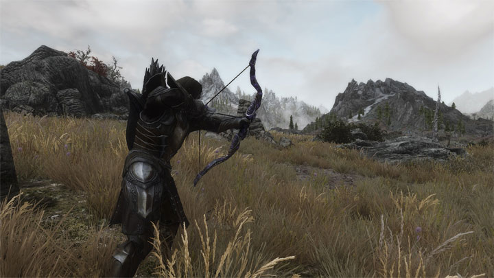 The Elder Scrolls V: Skyrim Special Edition mod Wildcat - Combat of Skyrim SE v.7.00