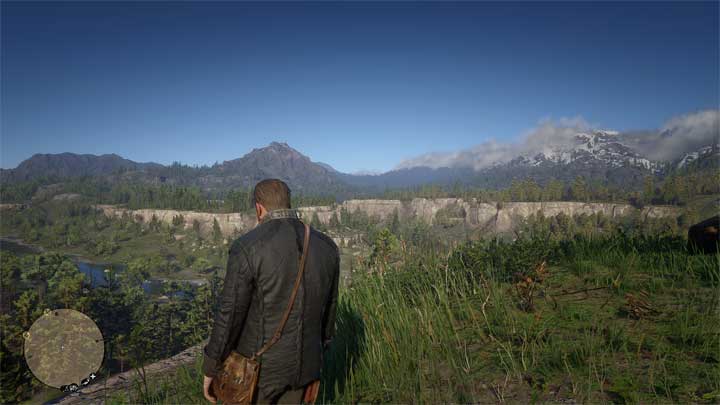 Red Dead Redemption 2 mod Vignette Disabler v.1.0