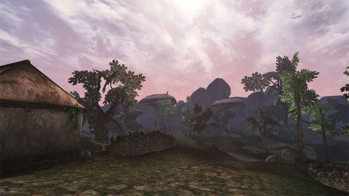 The Elder Scrolls III: Morrowind mod The Elder Scrolls III: Morrowind  Fuillscreen Border Fix