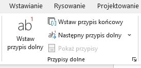 Tak wygląda menu związane z przypisami w programie Word. Źródło: własne.