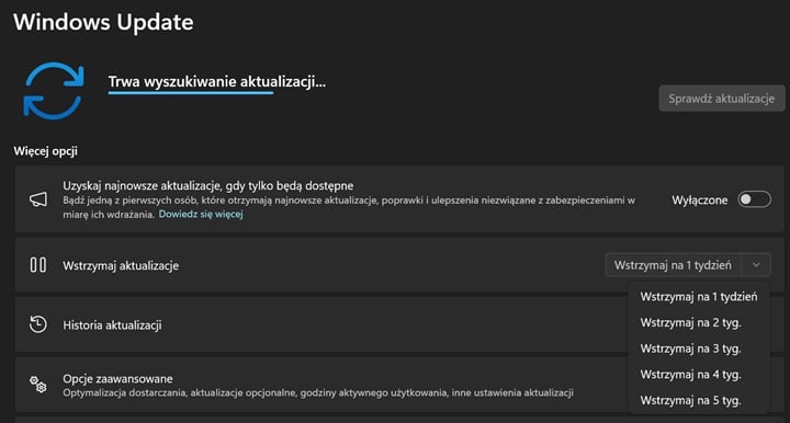 Windows 11 nie komplikuje nam życia, gdy chcemy wyłączyć aktualizowanie systemu. Źródło: własne. - Jak wyłączyć aktualizacje w Windows 11? Pokazujemy trzy proste metody - wiadomość - 2024-12-24