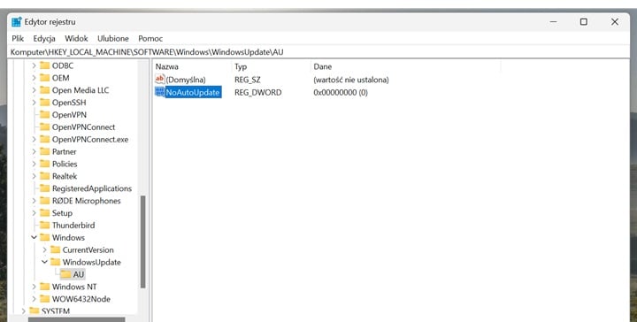 Windows 11 pozwala na wyłączenie aktualizacji systemowych z poziomu rejestru. Źródło: własne. - Jak wyłączyć aktualizacje w Windows 11? Pokazujemy trzy proste metody - wiadomość - 2024-12-24