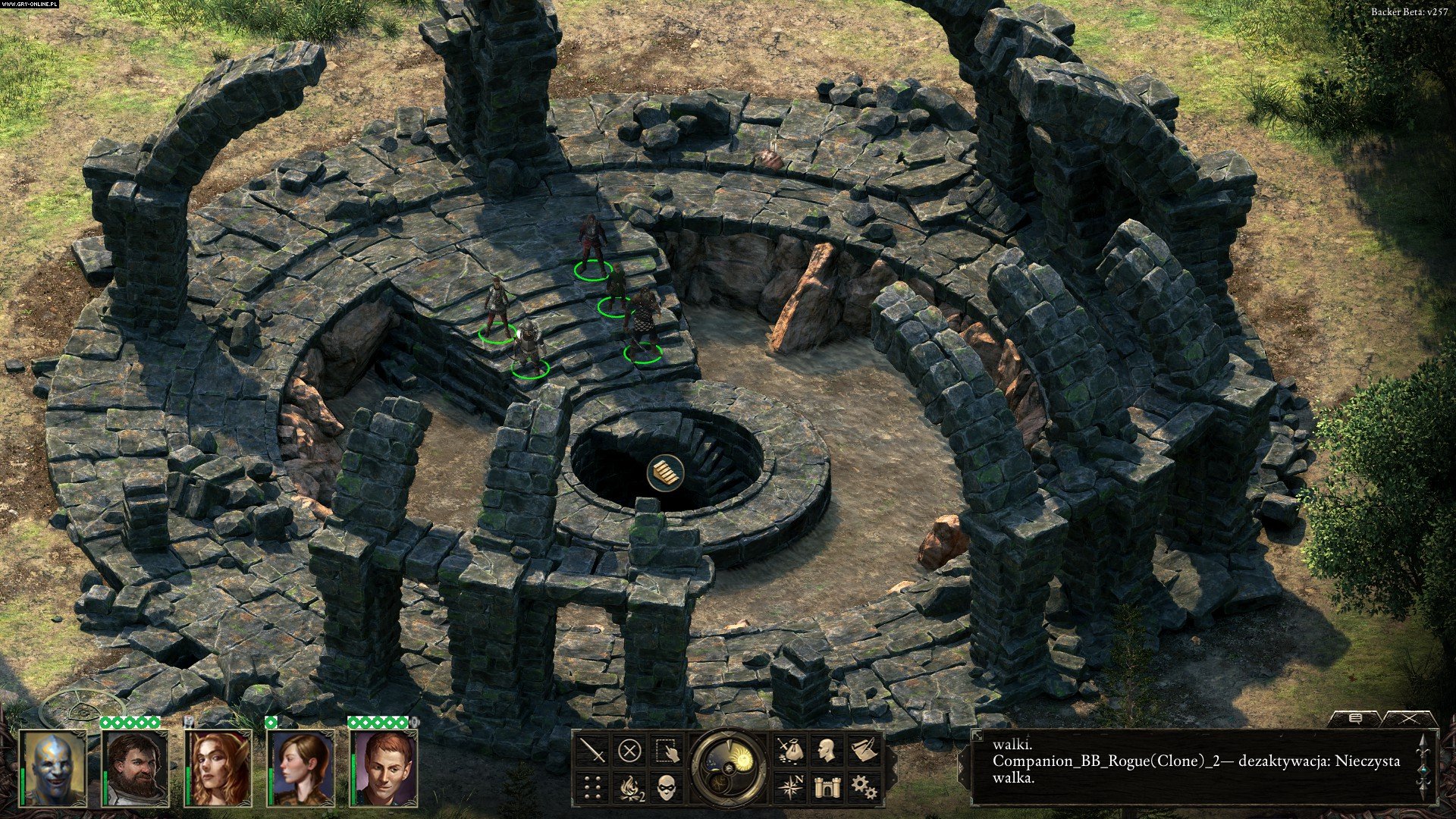 Pillars of eternity проекты kickstarter