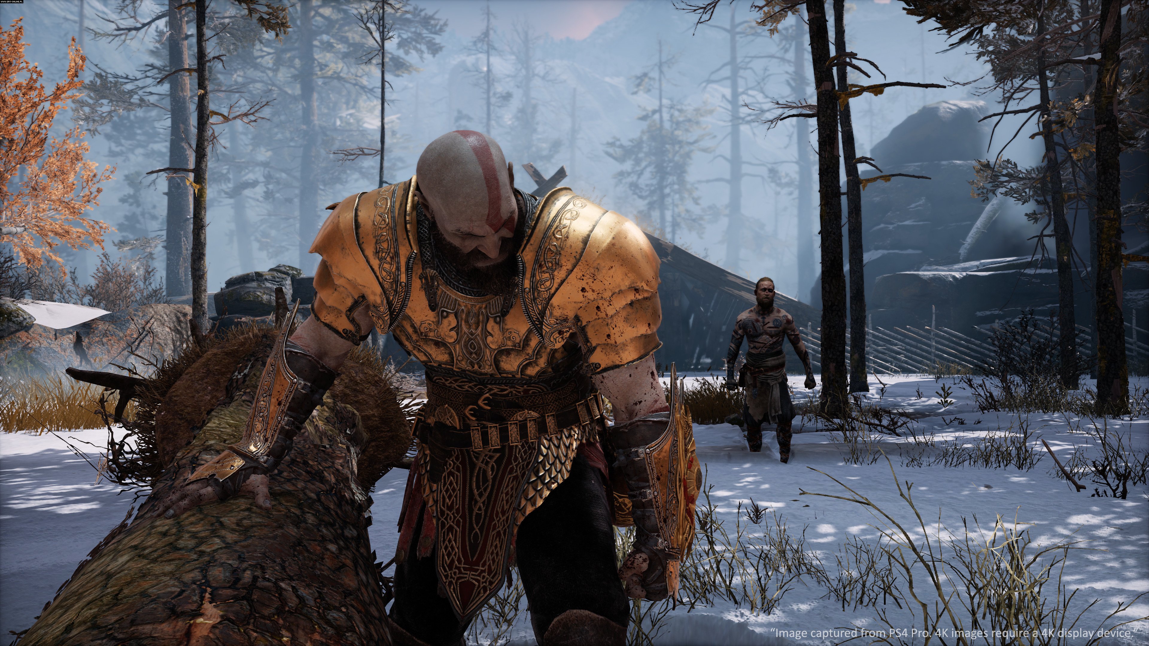 God Of War Screenshots Gallery Screenshot 4105 Gamepressurecom