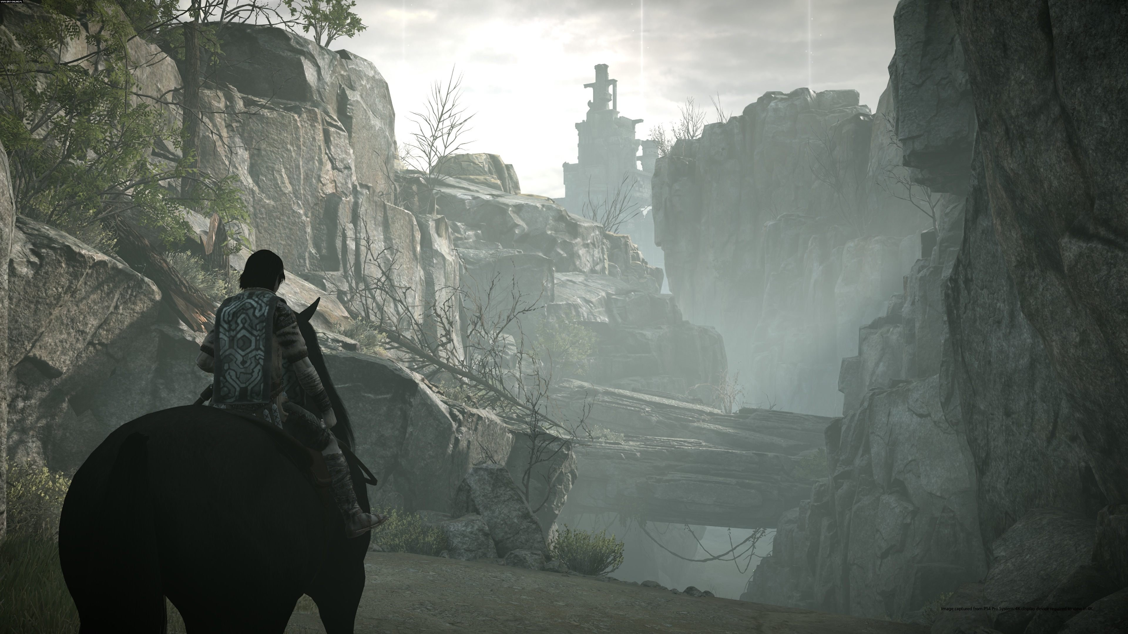 Shadow Of The Colossus Screenshots Gallery Screenshot 1132