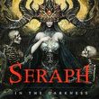 game Seraph: In the Darkness