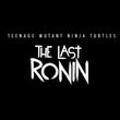 game Teenage Mutant Ninja Turtles: The Last Ronin