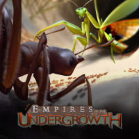 Empires of the Undergrowth Game Box