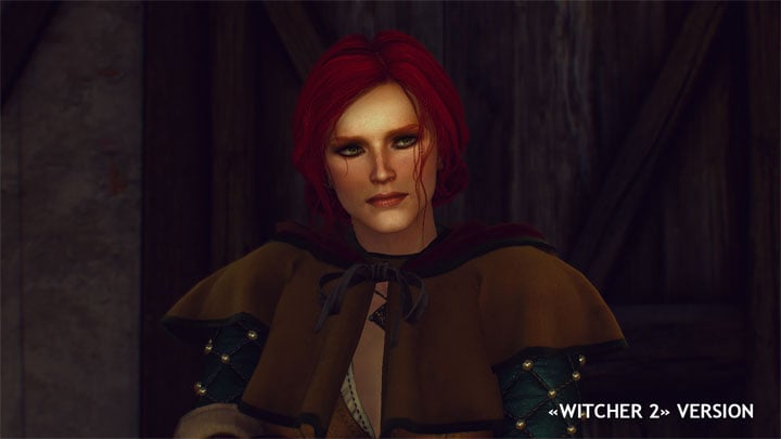 witcher 2 mod guide