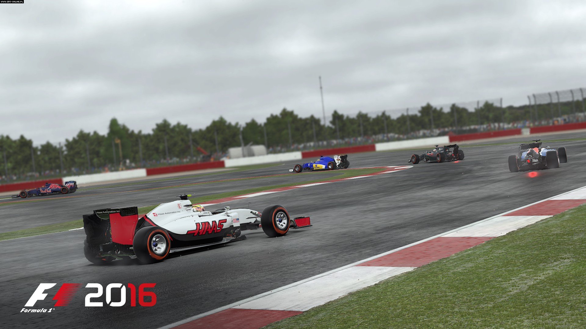 f1 2016 pc texture flickers