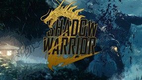 Shadow Warrior