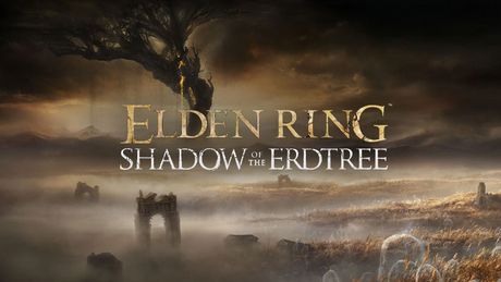 Recenzja gry Elden Ring: Shadow of the Erdtree - temu obrazowi nawet drobne rysy nie odbiorą uroku